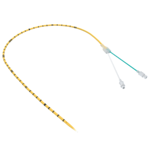 Dual lumen ureteral catheter